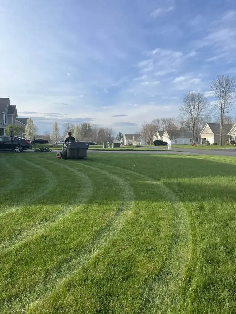Residential lawn mowing and property maintenance services in Clifton Park NY