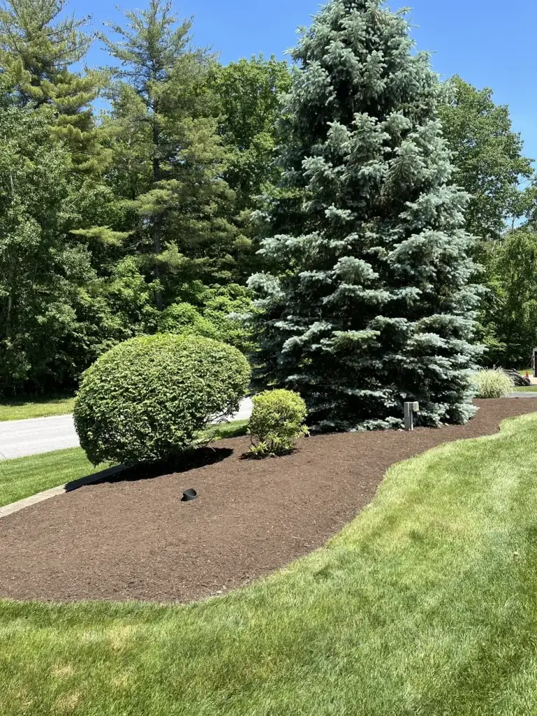 Professional landscaping and property maintenance services by Garcia's Property Management