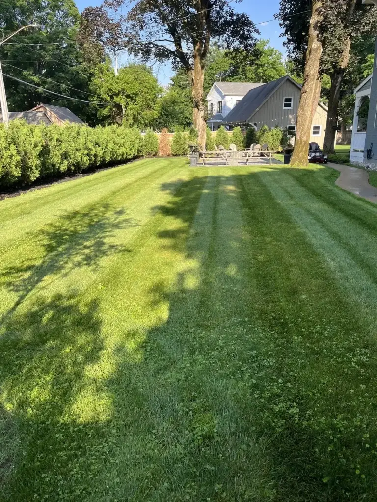 Well-maintained residential lawn showcasing quality property maintenance services