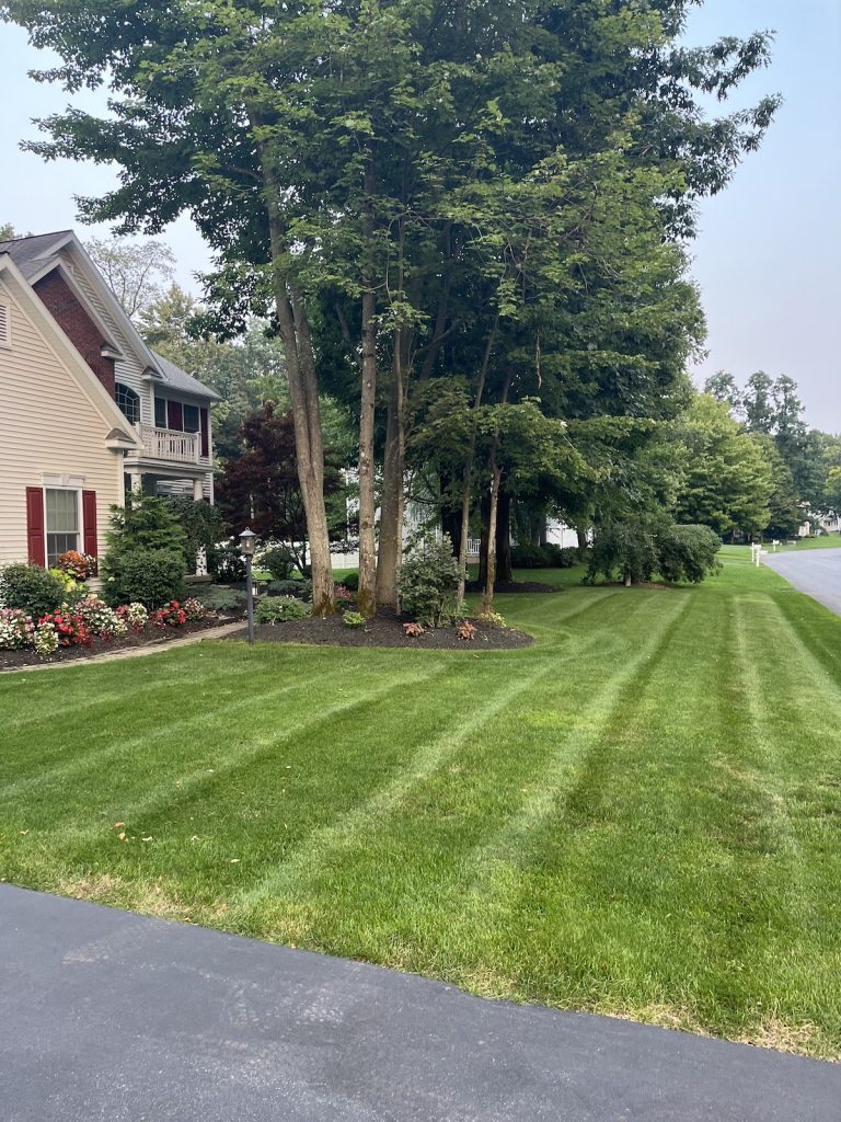landscape design photo by garcia 518