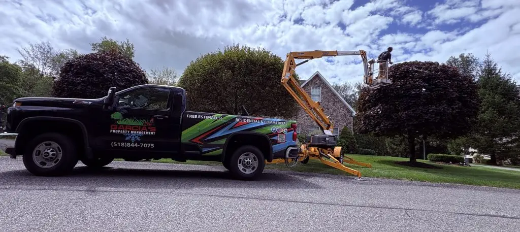 garcia518 crane tree removal photo