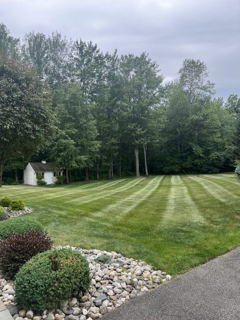 garcia518 fresh cut lawn photo